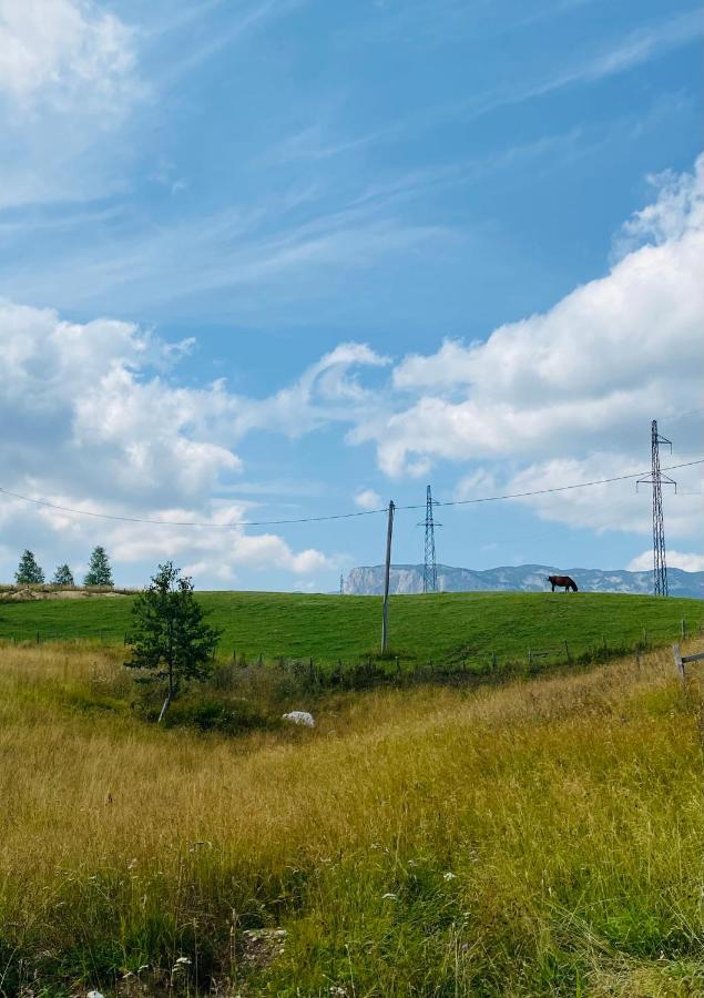 Vila Red Rock Žabljak Exteriér fotografie